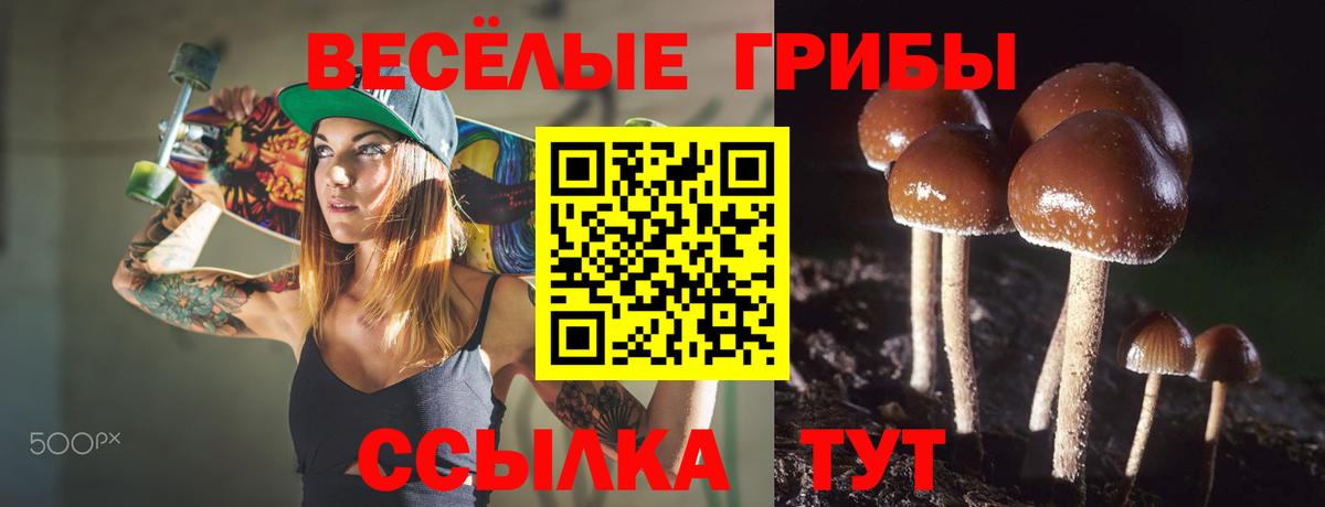 Галлюциногенные грибы Cubensis  Вход с VPN  Кызыл  Псилоцибиновые грибы мухоморы 